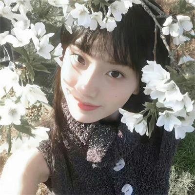 樱花队离散