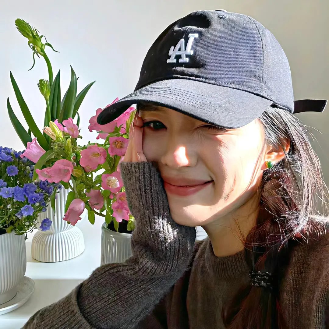 老鼠开会